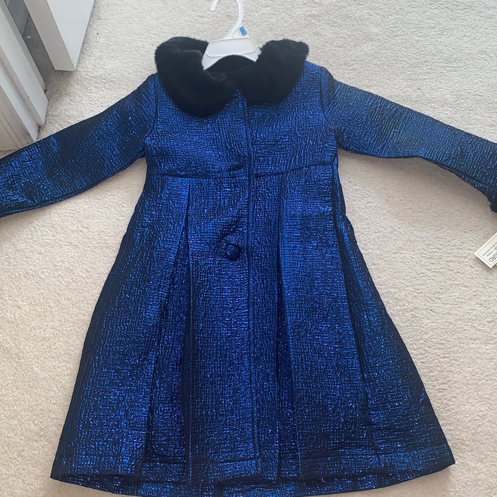 Gorgeous Blue Coat & Matching Dress